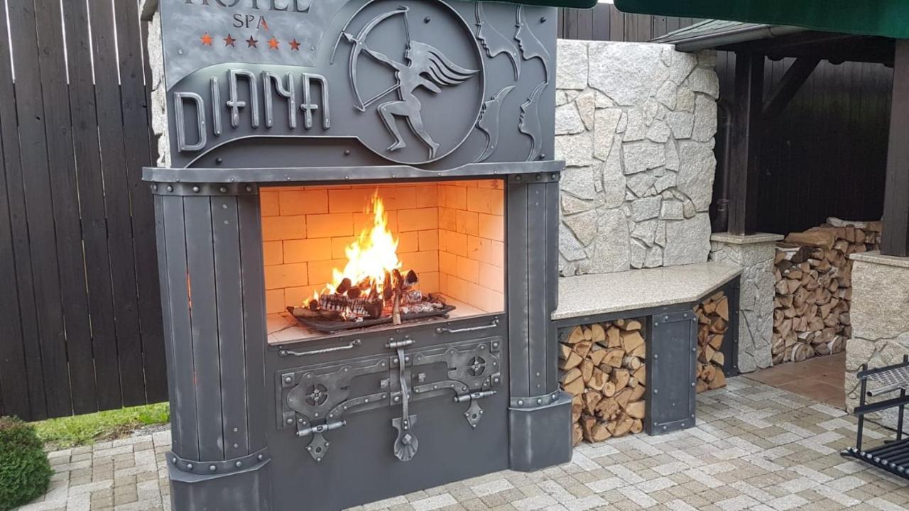 Spa Hotel Diana Františkovy Lázně Extérieur photo